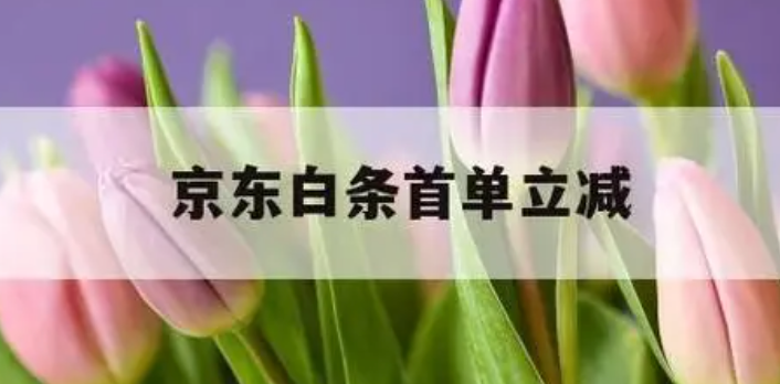 京东白条首单立减